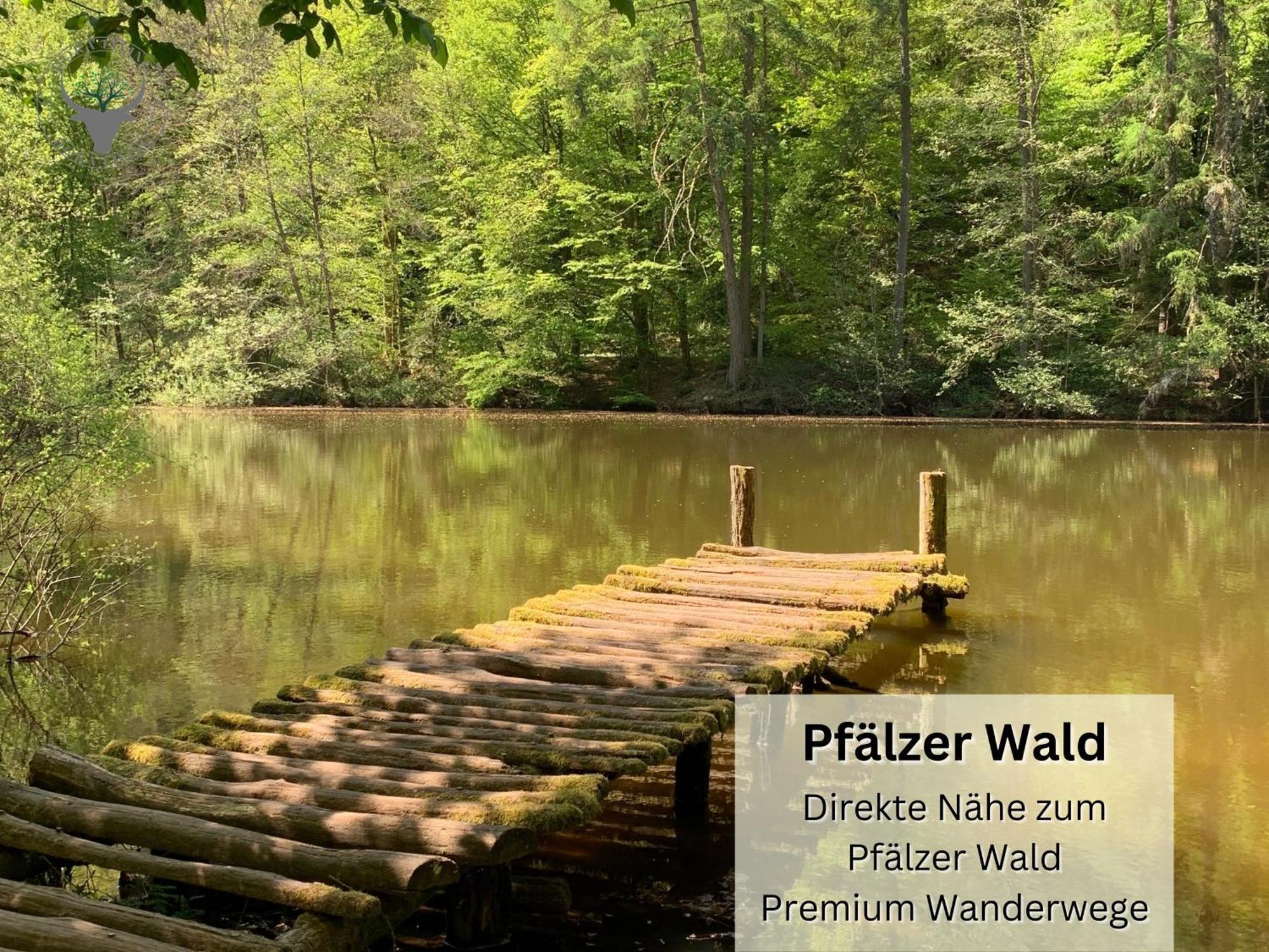 Stierpartment Am Pfaelzer Wald Naehe Outlet Center Zweibruecken Apartment Pirmasens Exterior photo